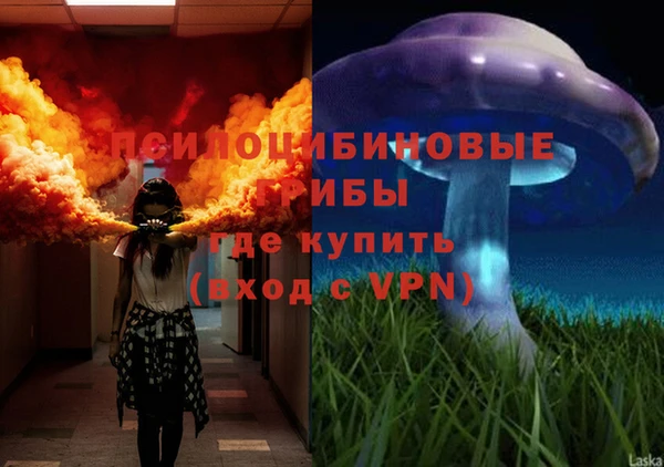 MDMA Горнозаводск