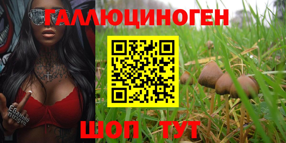 Губаха  Псилоцибиновые грибы Psilocybe  Вход с VPN 
