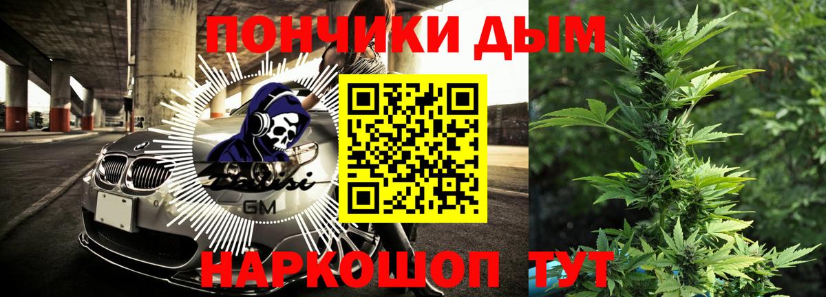 Шишки марихуана план Губаха